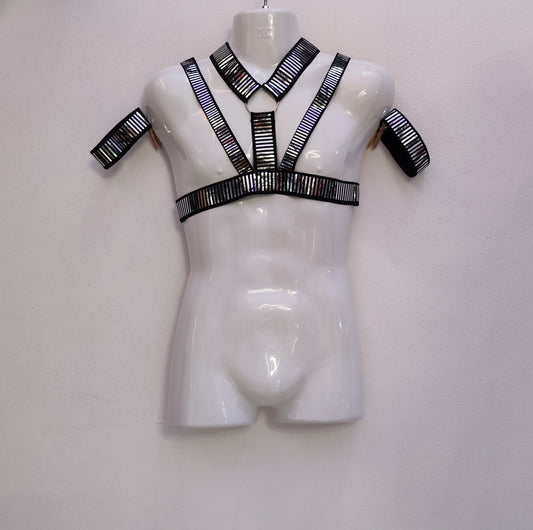 Silver Shiny Harness