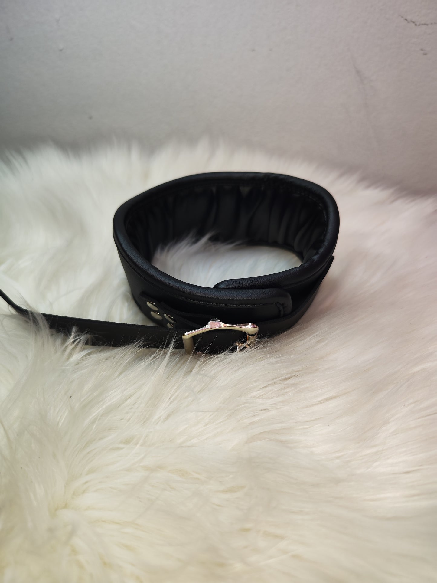 Padded Posture Collar