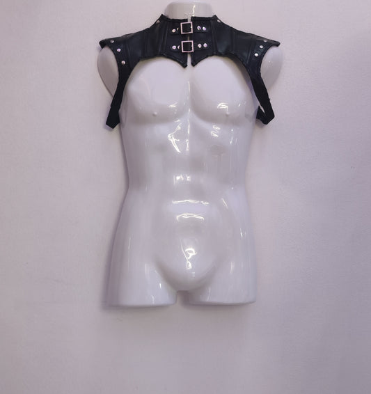 Shoulder Chest Harness